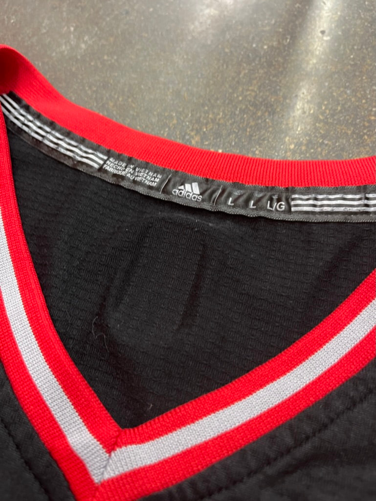 Toronto Raptors Adidas Carroll Jersey Size L