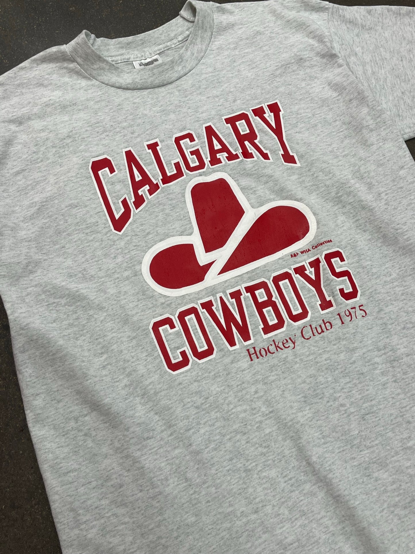 Vintage Calgary Cowboys Tee Size L